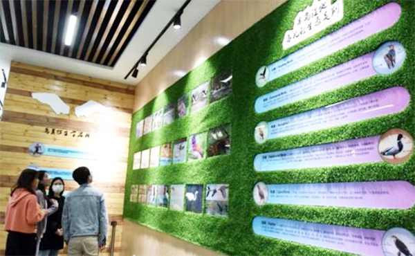 巢湖半島國(guó)家濕地公園鳥(niǎo)類科普展館