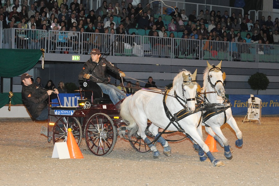 馬展，德國馬展，馬匹比賽