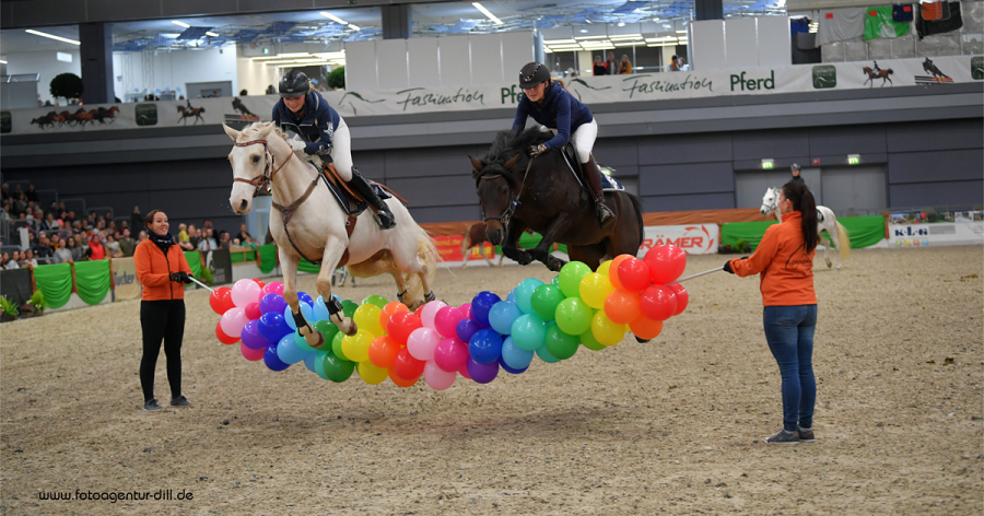 馬展，德國馬展，馬匹比賽